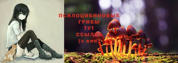 метадон Верея