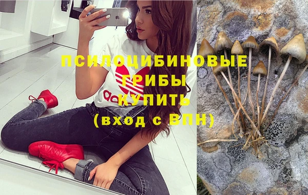 крисы Ростов