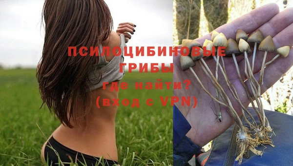 метадон Верея