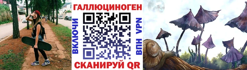 наркошоп  Волчанск  Псилоцибиновые грибы Psilocybe 